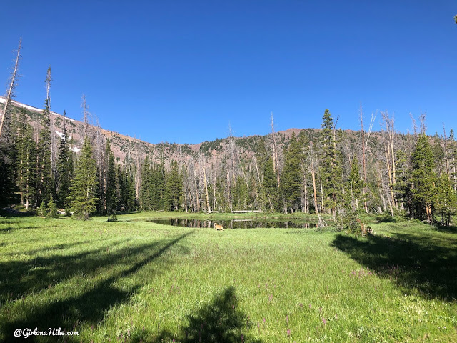 Hiking to Whiskey Island Lake, Uintas