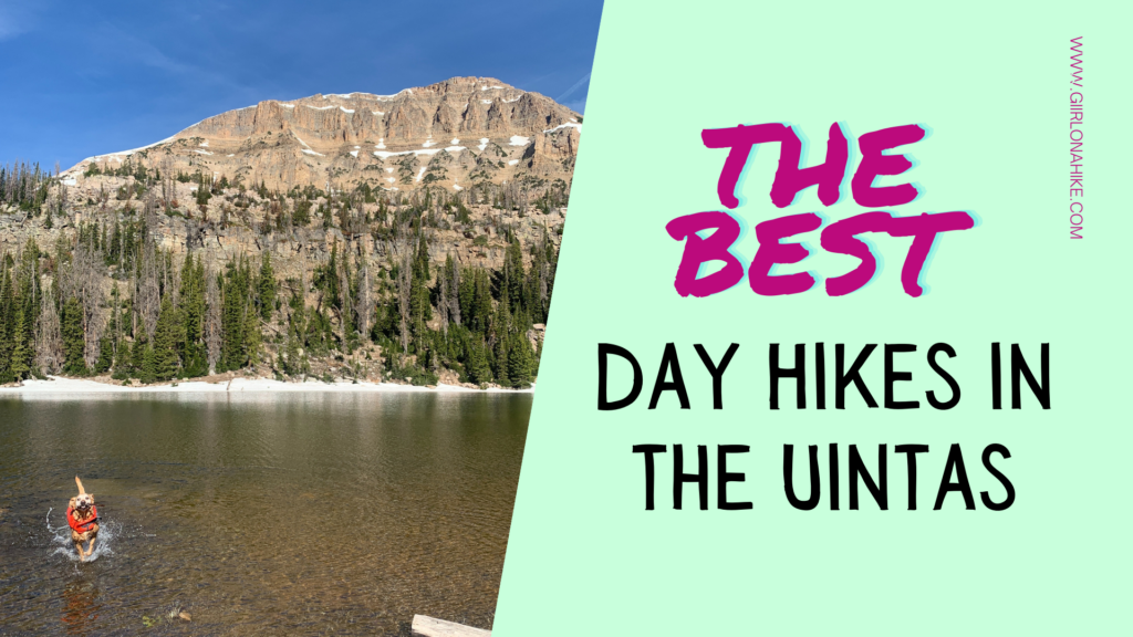 The BEST day hikes in the Uintas!