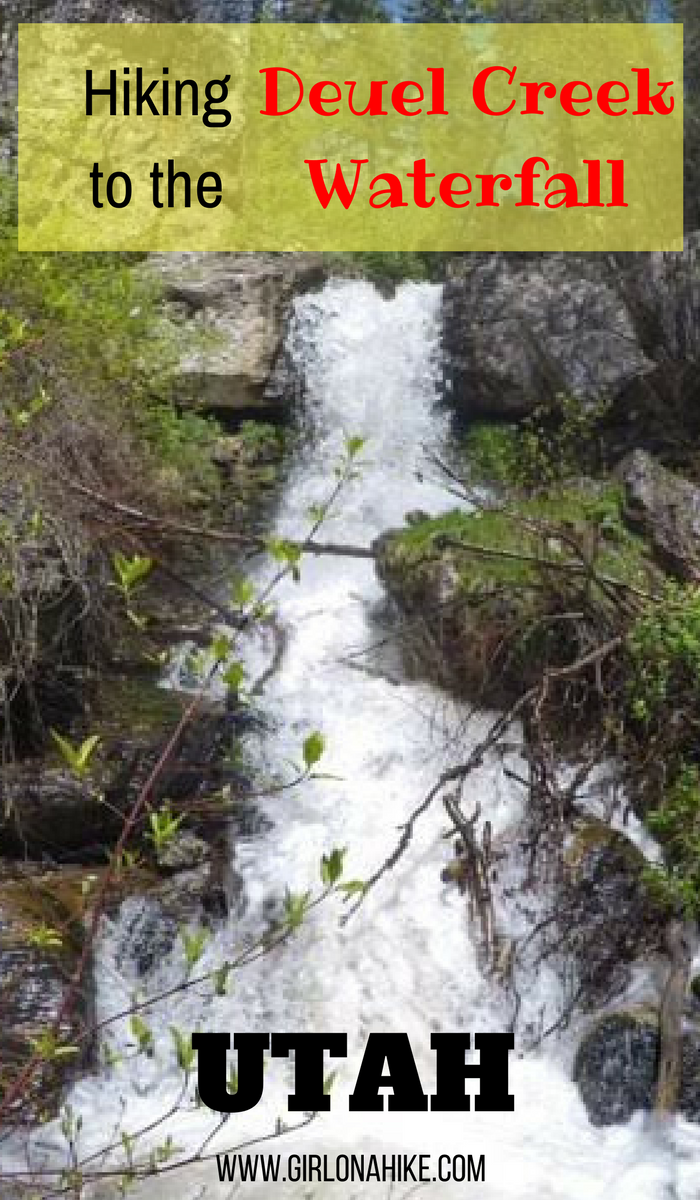 Hiking Deuel Creek in Centerville, Utah, Deuel Creek Waterfall, Hiking in Utah with Dogs, Hiking Centerville Canyon Utah