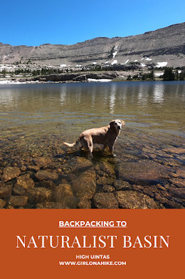 Backpacking to Naturalist Basin, Uintas, hiking to spread eagle peak