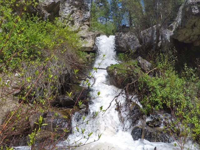 Hiking Deuel Creek in Centerville, Utah, Deuel Creek Waterfall, Hiking in Utah with Dogs, Hiking Centerville Canyon Utah