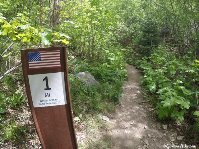 Hiking Deuel Creek in Centerville, Utah, Deuel Creek Waterfall, Hiking in Utah with Dogs, Hiking Centerville Canyon Utah