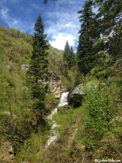 Hiking Deuel Creek in Centerville, Utah, Deuel Creek Waterfall, Hiking in Utah with Dogs, Hiking Centerville Canyon Utah