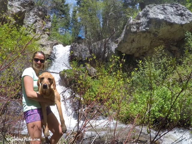 Hiking Deuel Creek in Centerville, Utah, Deuel Creek Waterfall, Hiking in Utah with Dogs, Hiking Centerville Canyon Utah