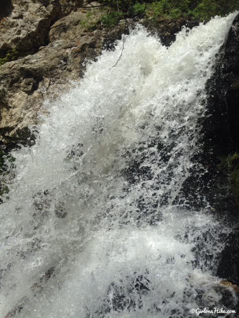 Hiking Deuel Creek in Centerville, Utah, Deuel Creek Waterfall, Hiking in Utah with Dogs, Hiking Centerville Canyon Utah