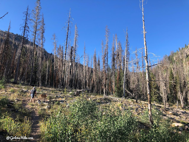 Hiking the Smith & Moorehouse Trail to South Erickson Lake