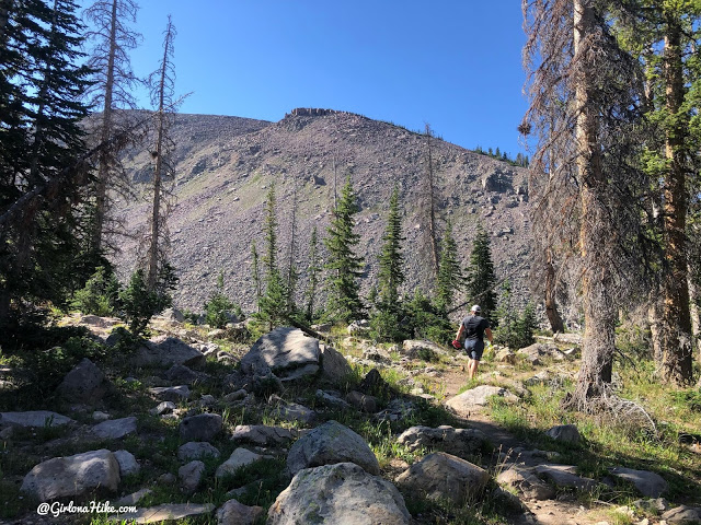 Hiking the Smith & Moorehouse Trail to South Erickson Lake