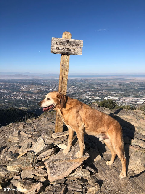 Hiking Lewis Peak North Ogden