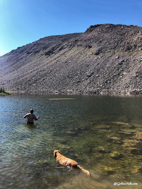 Hiking the Smith & Moorehouse Trail to South Erickson Lake