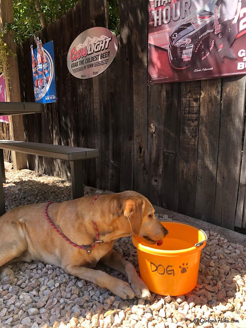 Shooting Star Saloon dog friendly patio