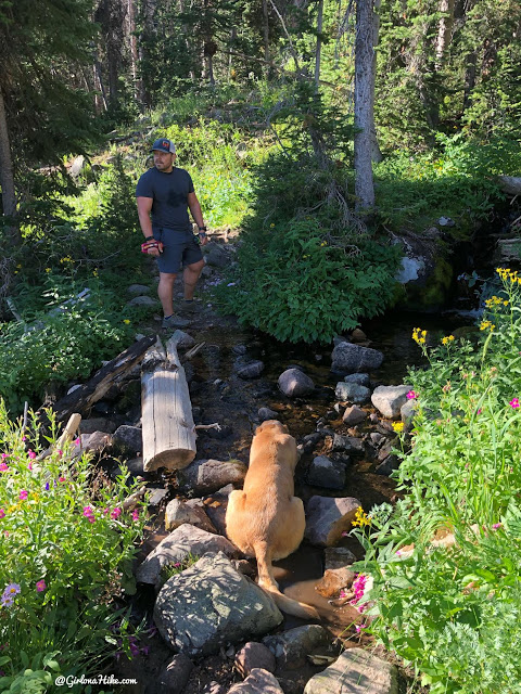 Hiking the Smith & Moorehouse Trail to South Erickson Lake