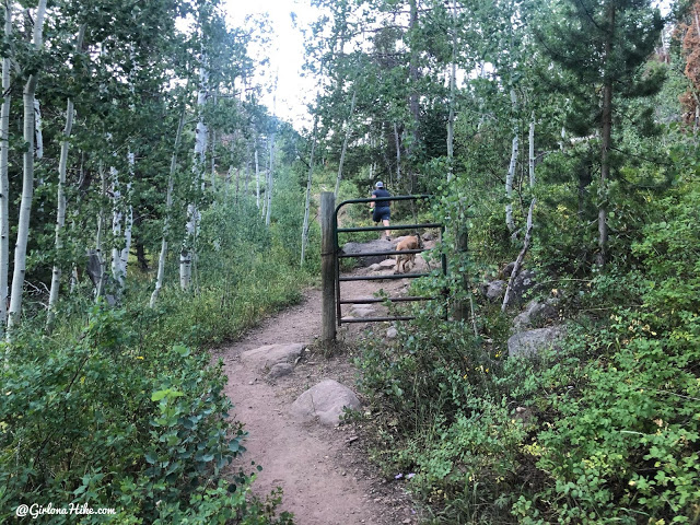 Hiking the Smith & Moorehouse Trail to South Erickson Lake