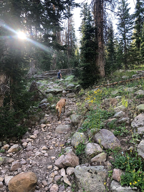 Hiking the Smith & Moorehouse Trail to South Erickson Lake