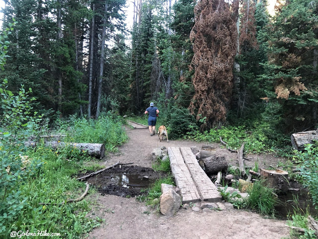 Hiking the Smith & Moorehouse Trail to South Erickson Lake