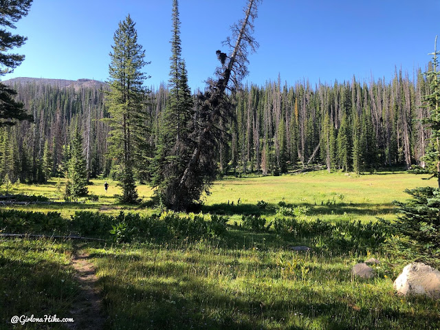 Hiking the Smith & Moorehouse Trail to South Erickson Lake