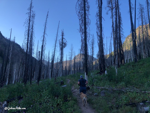 Hiking the Smith & Moorehouse Trail to South Erickson Lake