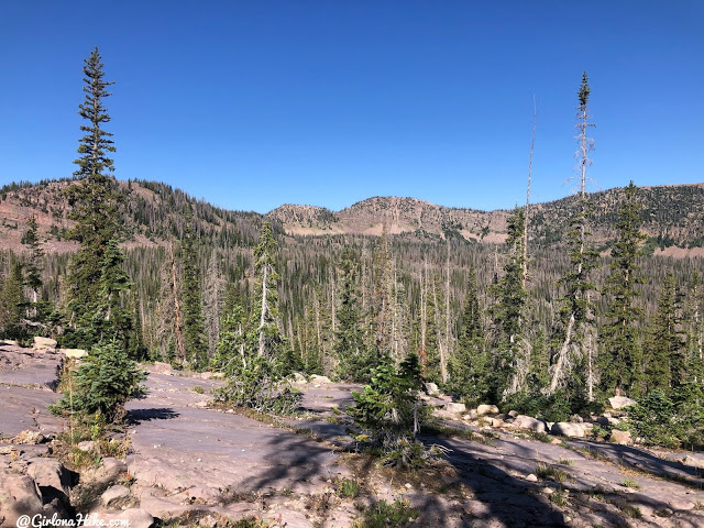 Hiking the Smith & Moorehouse Trail to South Erickson Lake