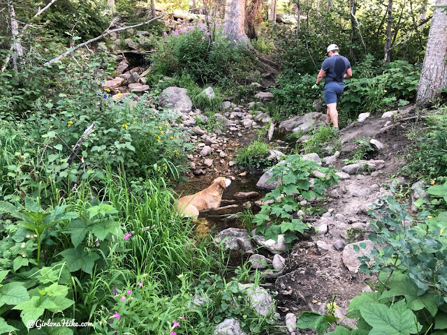 Hiking the Smith & Moorehouse Trail to South Erickson Lake