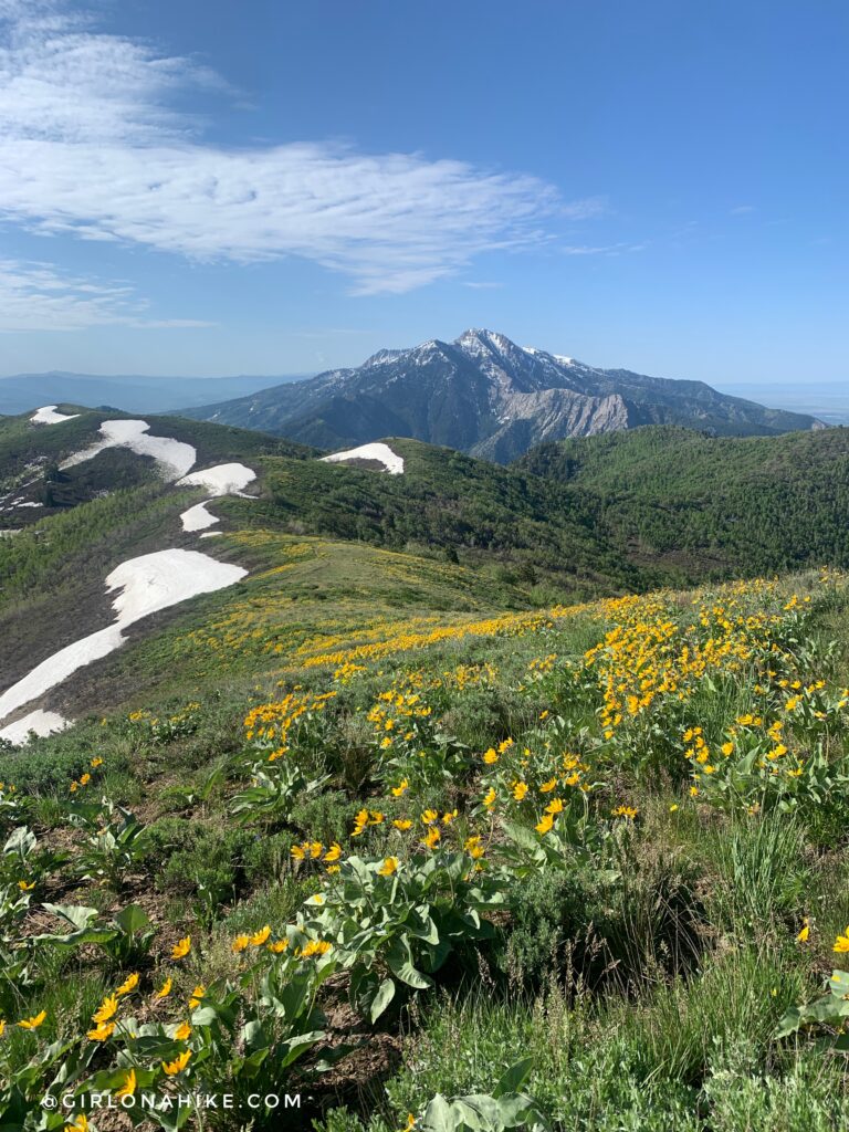 Hiking Lewis Peak, north ogden divide trailhead