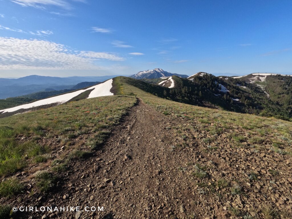 Hiking Lewis Peak, north ogden divide trailhead