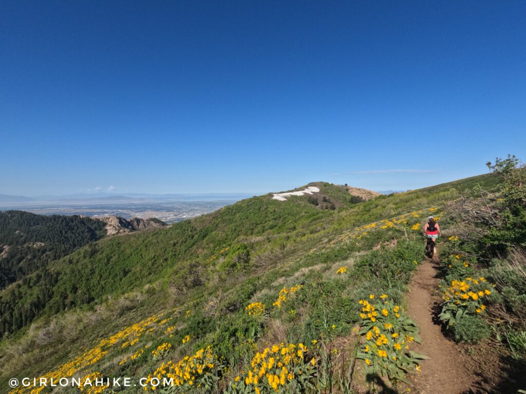 Hiking Lewis Peak, north ogden divide trailhead