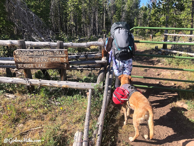 Backpacking to Beaver & Coffin Lakes, High Uintas