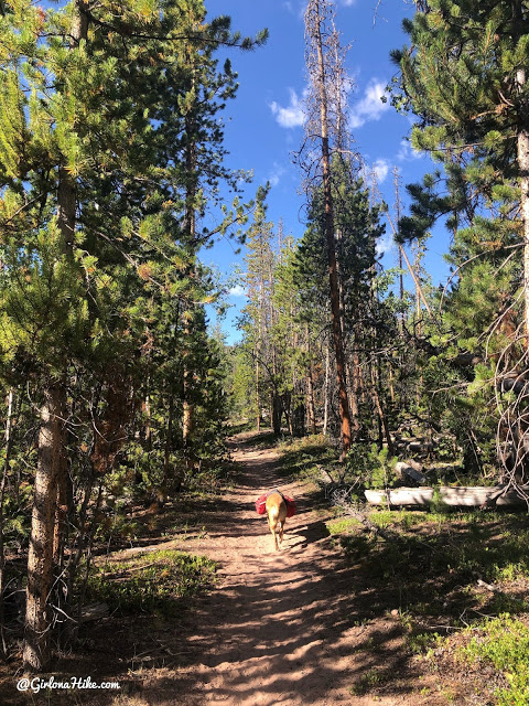 Backpacking to Beaver & Coffin Lakes, High Uintas