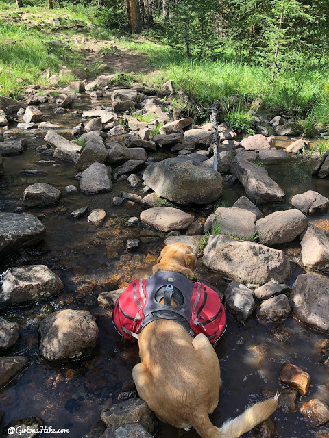 Backpacking to Beaver & Coffin Lakes, High Uintas