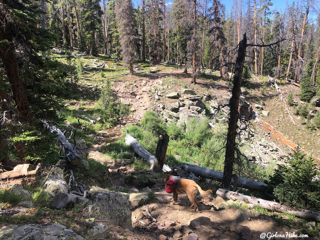 Backpacking to Beaver & Coffin Lakes, High Uintas