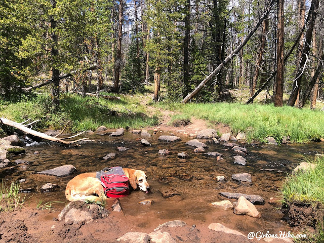 Backpacking to Beaver & Coffin Lakes, High Uintas