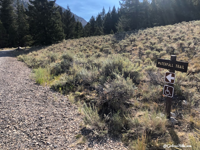 Hiking to Fall Creek Falls, Challis National Forest