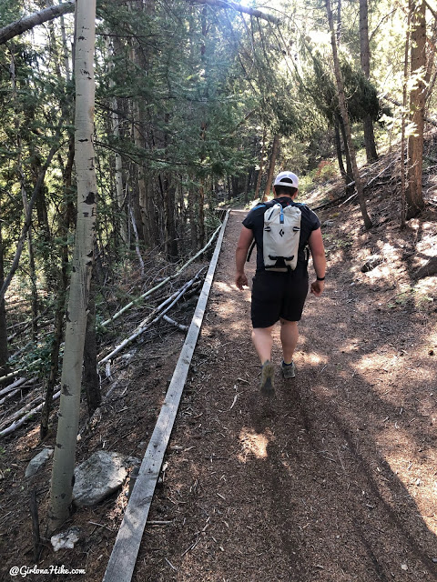 Hiking to Fall Creek Falls, Challis National Forest