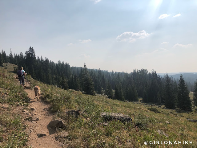 Hiking the Crag Crest Trail, Grand Mesa, Colorado