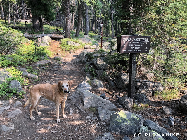 Hiking the Crag Crest Trail, Grand Mesa, Colorado