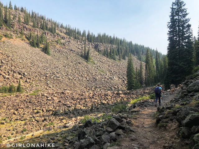 Hiking the Crag Crest Trail, Grand Mesa, Colorado