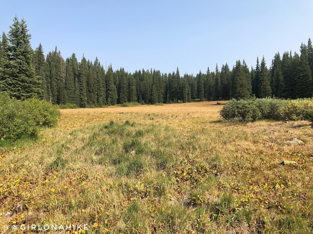 Hiking the Crag Crest Trail, Grand Mesa, Colorado