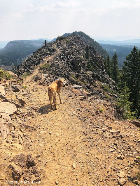 Hiking the Crag Crest Trail, Grand Mesa, Colorado