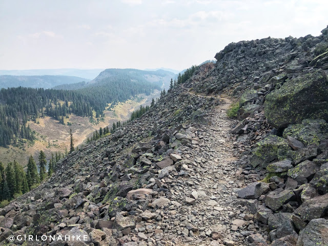 Hiking the Crag Crest Trail, Grand Mesa, Colorado