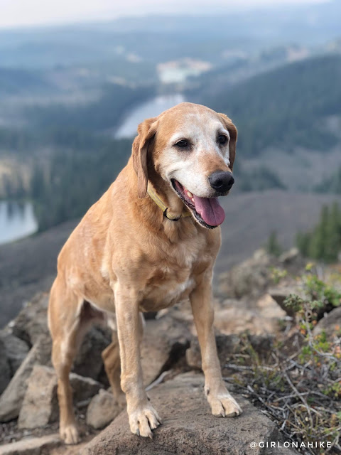 Hiking the Crag Crest Trail, Grand Mesa, Colorado