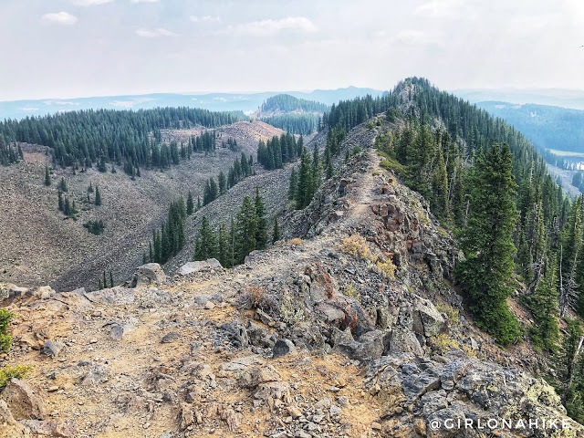 Hiking the Crag Crest Trail, Grand Mesa, Colorado