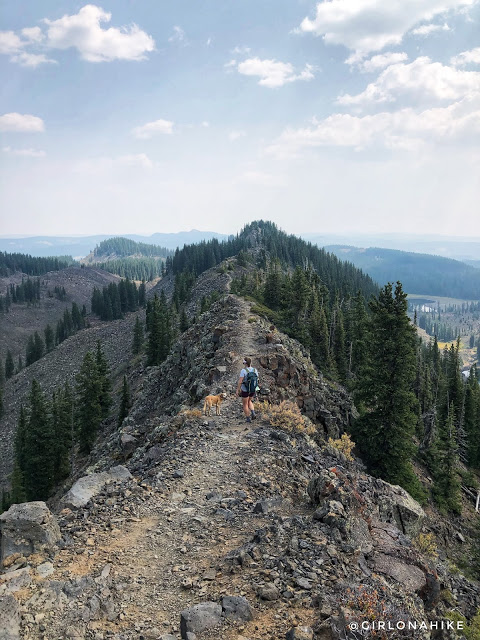 Hiking the Crag Crest Trail, Grand Mesa, Colorado