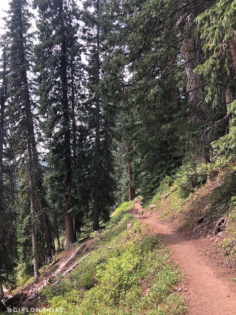 Hiking the Crag Crest Trail, Grand Mesa, Colorado