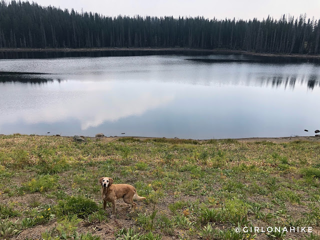 Hiking the Crag Crest Trail, Grand Mesa, Colorado