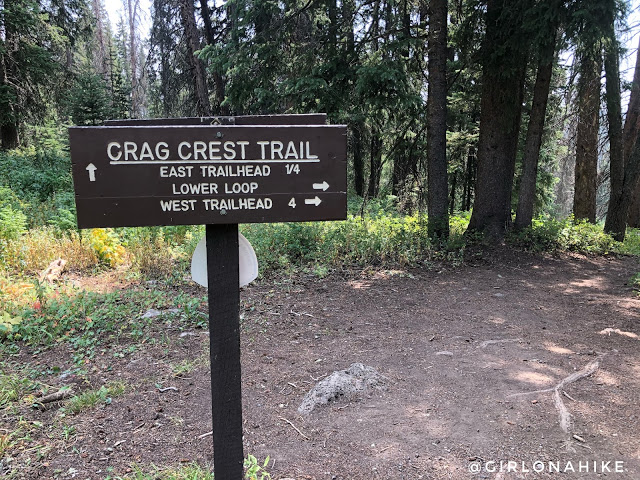 Hiking the Crag Crest Trail, Grand Mesa, Colorado