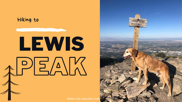 Hiking to Lewis Peak