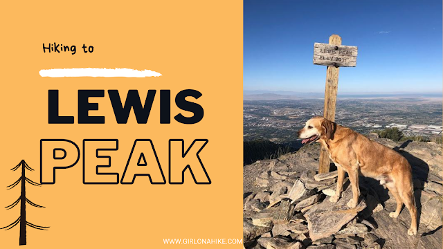 Hiking Lewis Peak, Hiking Eyrie Peak, North Ogden, Utah, Peak Bagging in Utah, Hiking in Utah with Dogs