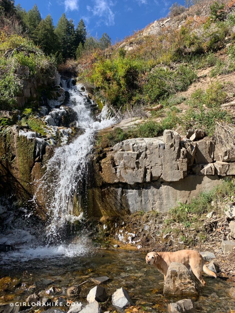 Hiking to Salt Creek Canyon Falls