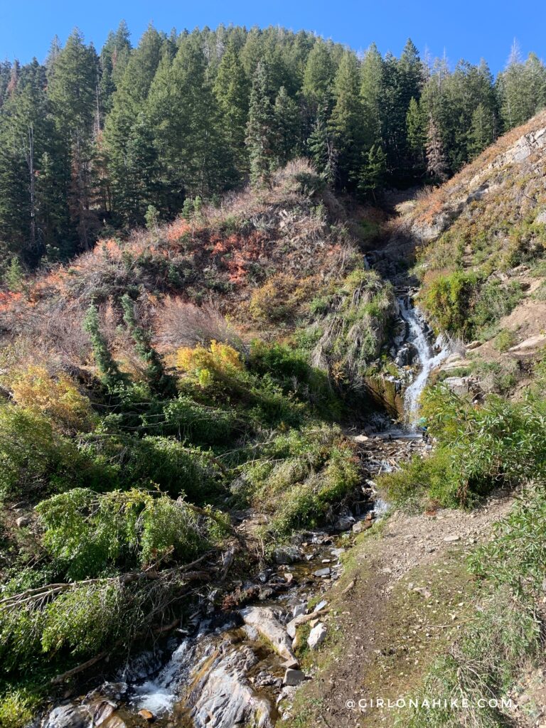 Hiking to Salt Creek Canyon Falls