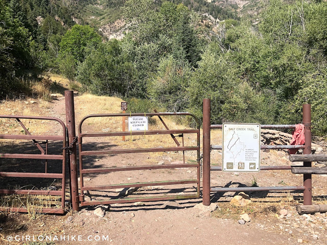 Hiking to Salt Creek Canyon Falls, Utah