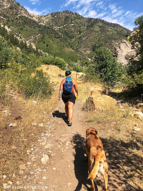 Hiking to Salt Creek Canyon Falls, Utah